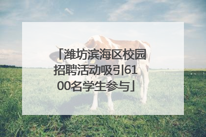 潍坊滨海区校园招聘活动吸引6100名学生参与